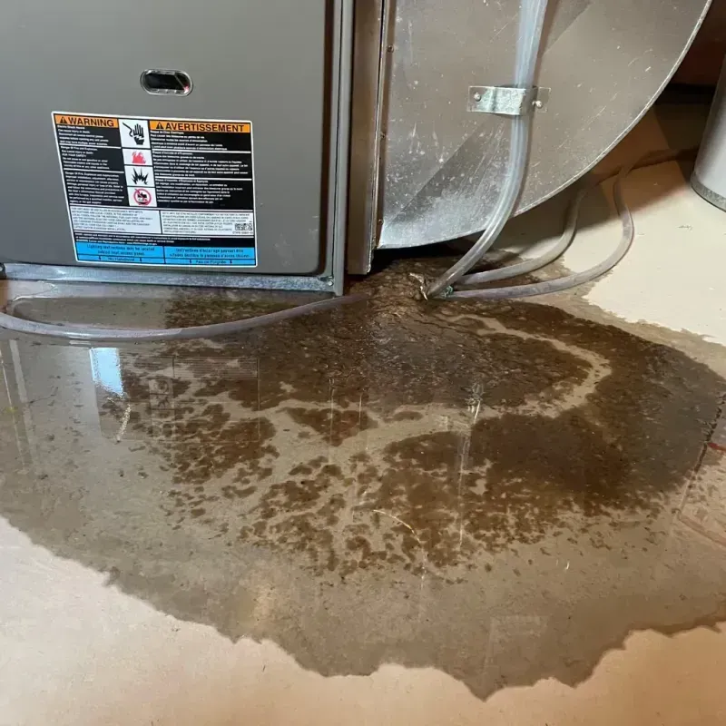 Appliance Leak Cleanup in Trumansburg, NY